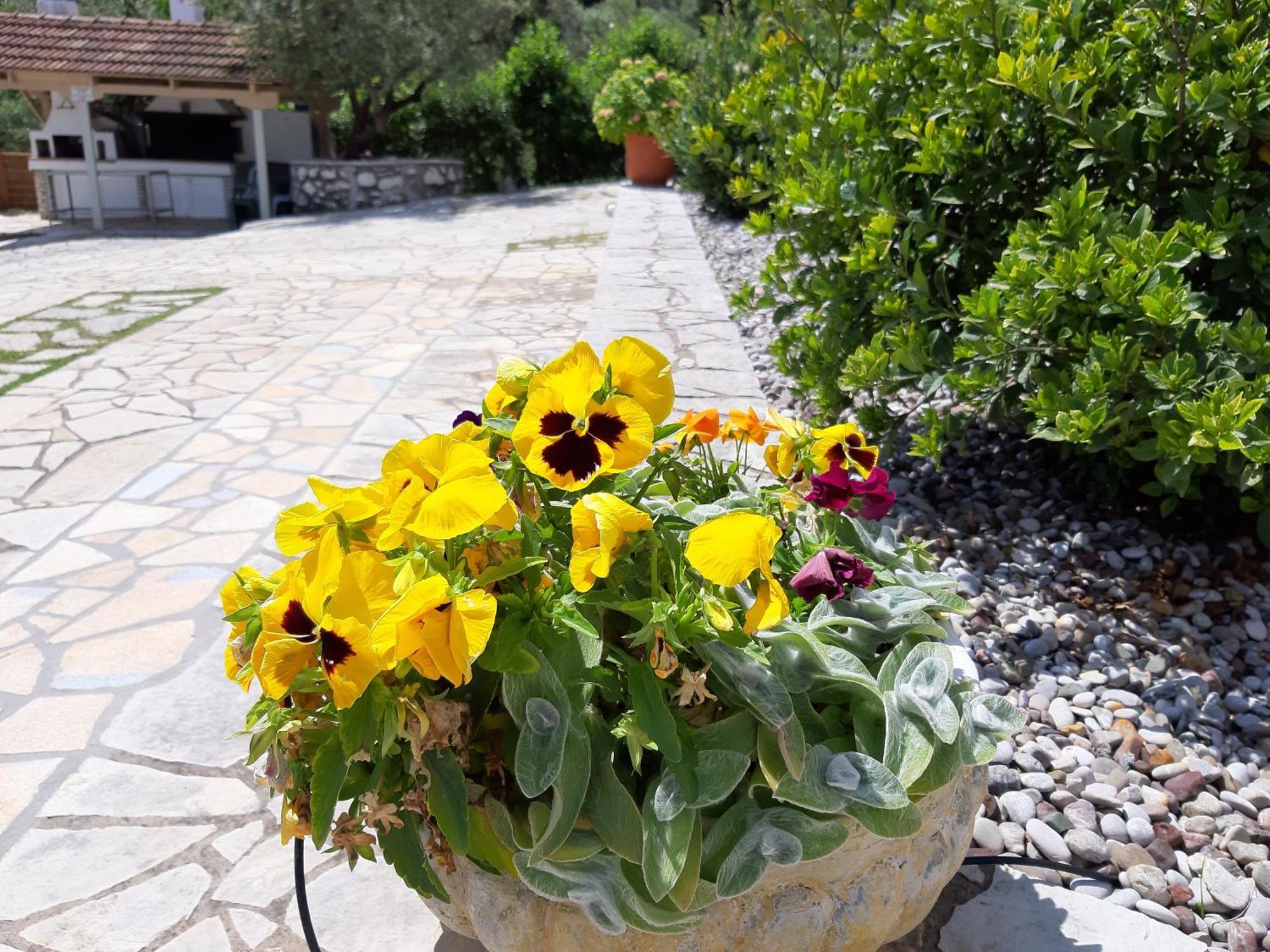 Korakias Seaview Villa Yénion Buitenkant foto